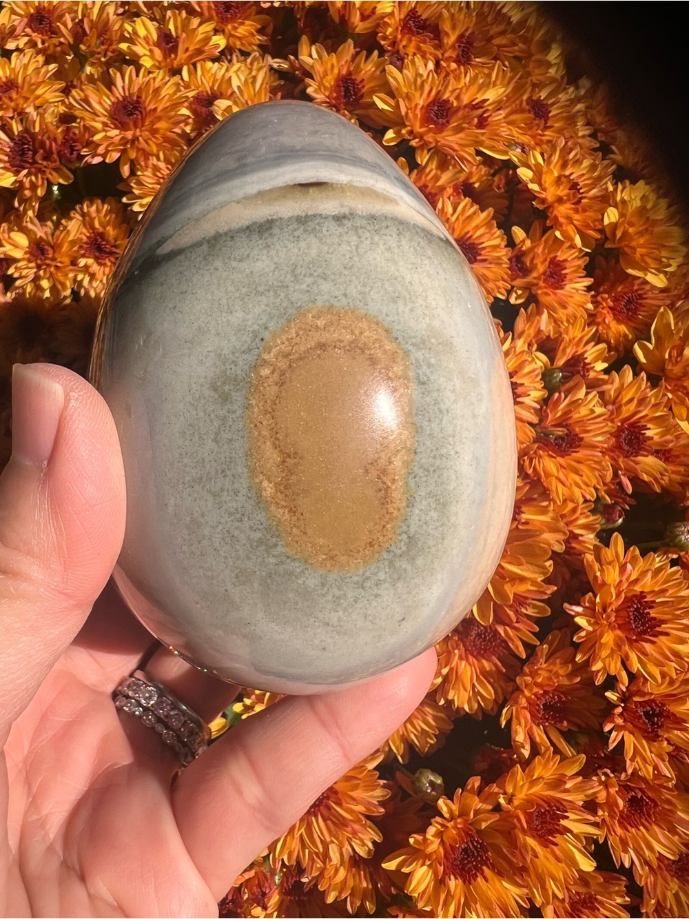 Ocean (1) Jasper Egg with stand | crystal